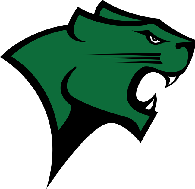 Chicago State Cougars 2009-Pres Primary Logo diy iron on heat transfer